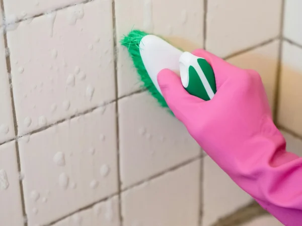 pexels-photo-9462638-1920w